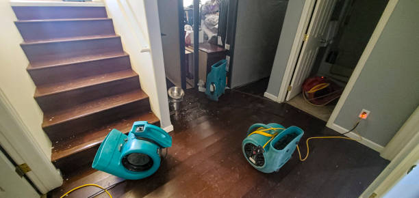 Best Water damage cleanup near me  in Walton Hills, OH